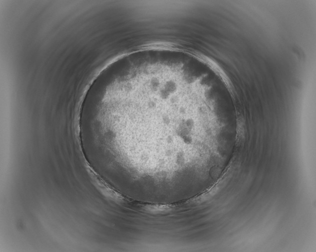 X0000110951435200907101258