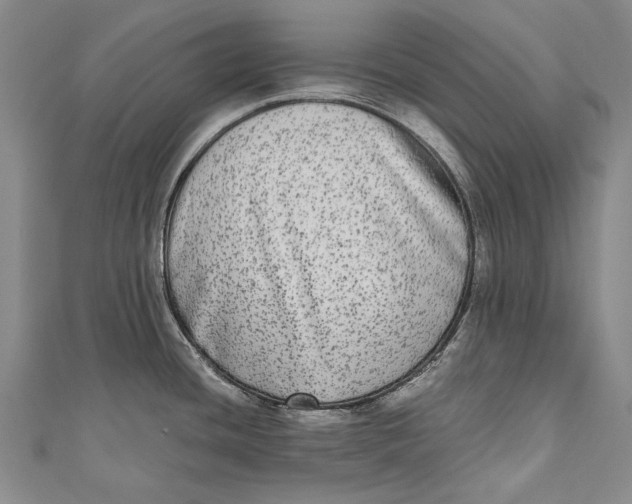 X0000110951436200907101258