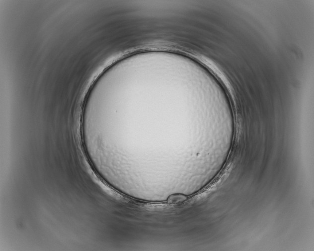 X0000110951437200907101258