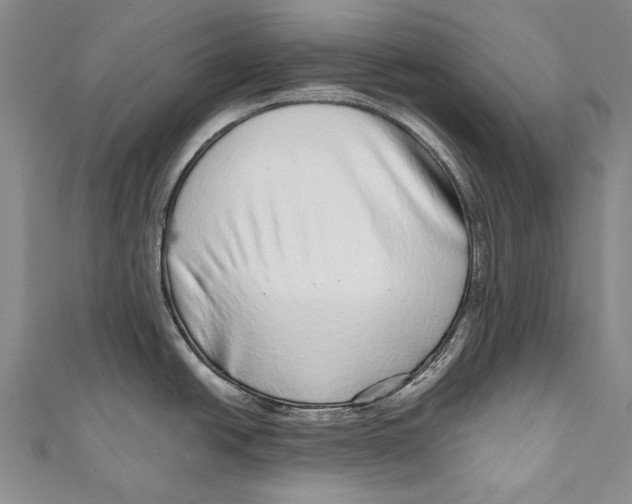 X0000110951438200907101258