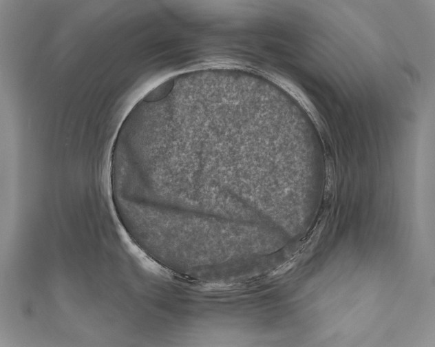 X0000110951439200907101258