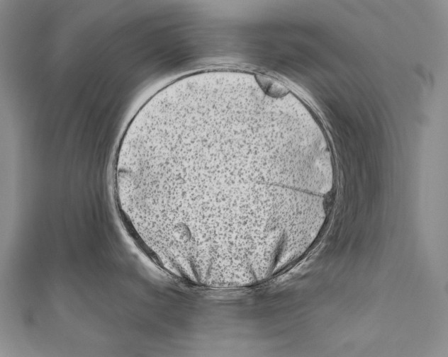 X0000110951440200907101258