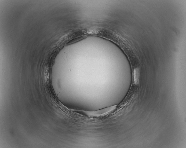 X0000110951443200907101257