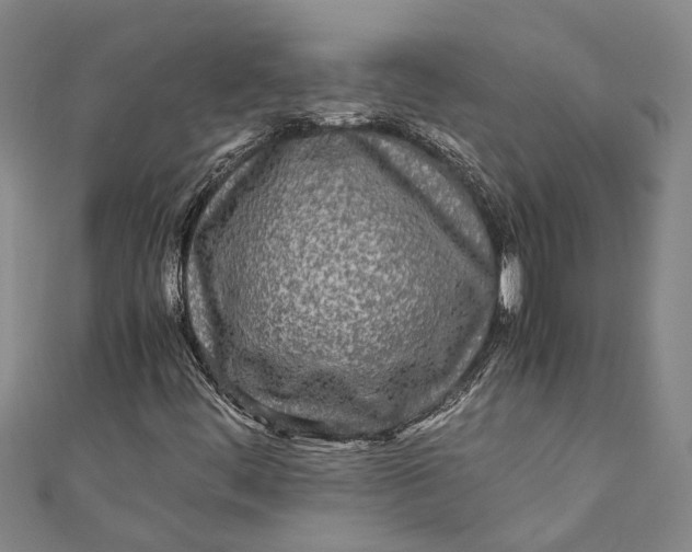 X0000110951444200907101257