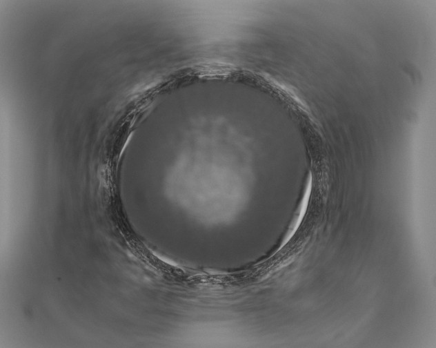 X0000110951445200907101257