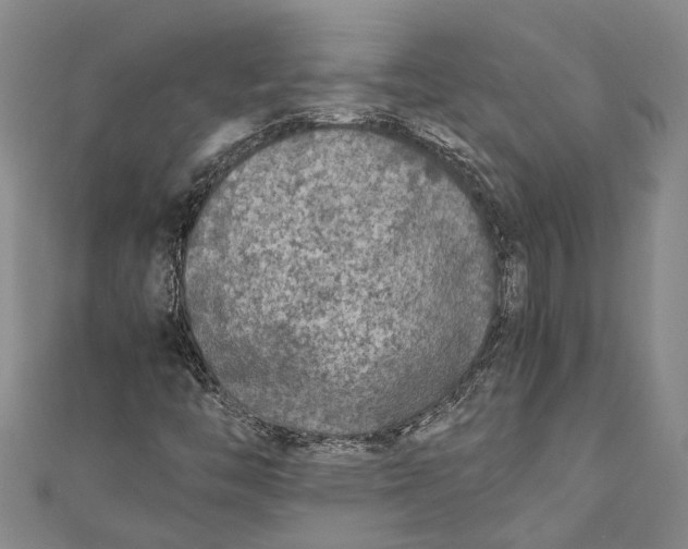 X0000110951446200907101257