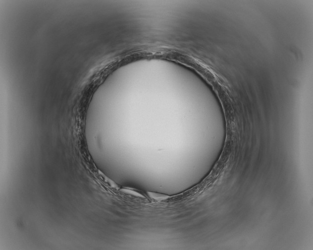 X0000110951447200907101257