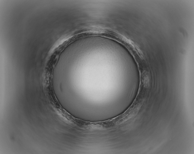 X0000110951448200907101257