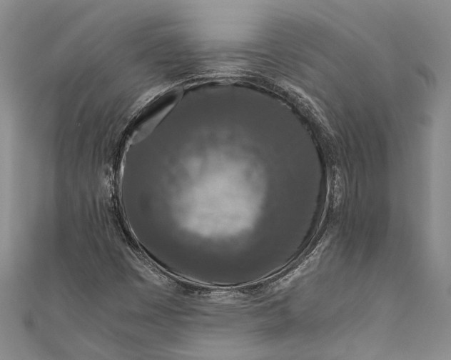 X0000110951449200907101257