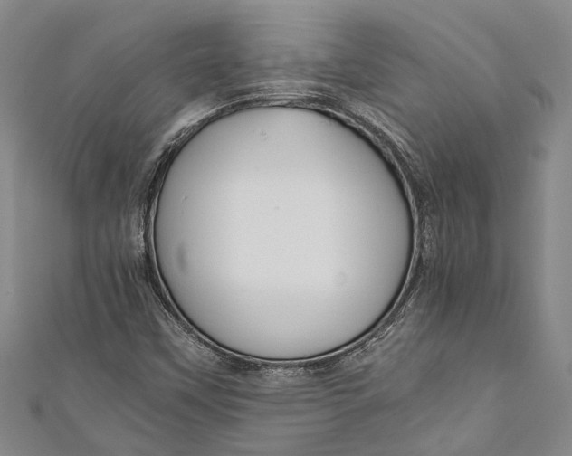 X0000110951451200907101257