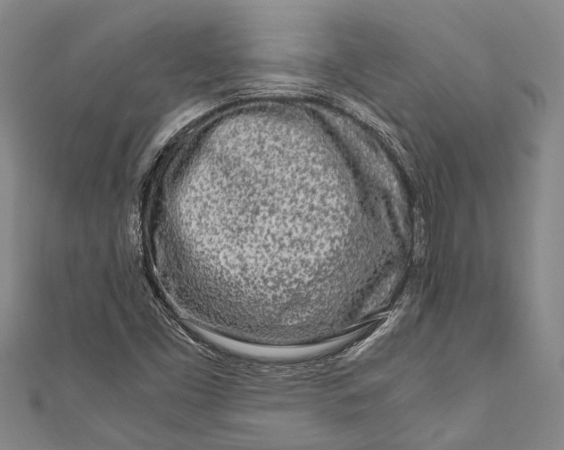 X0000110951453200907101257