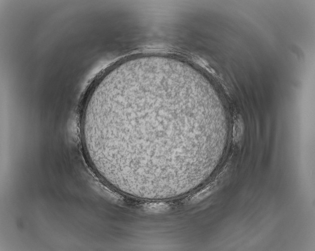 X0000110951454200907101257