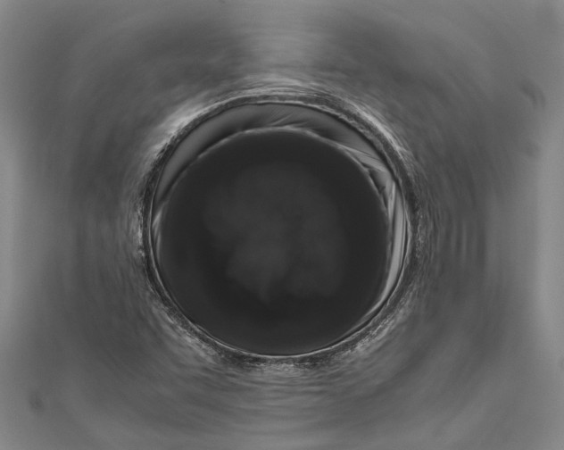 X0000110951455200907101257