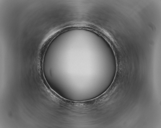 X0000110951456200907101257