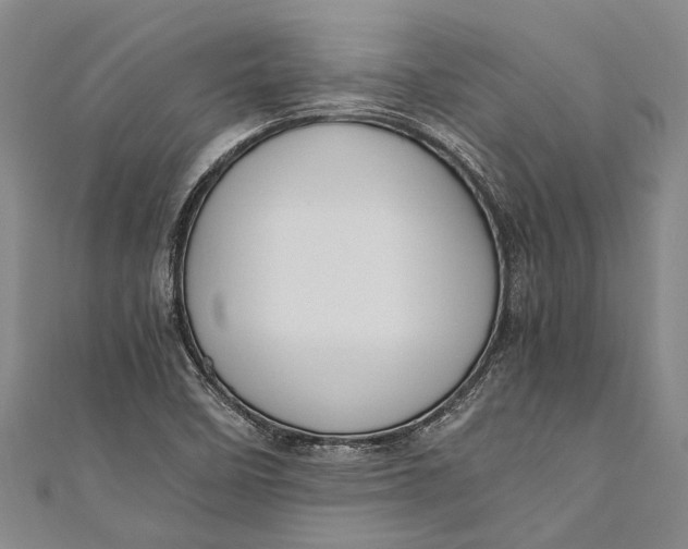 X0000110951458200907101257