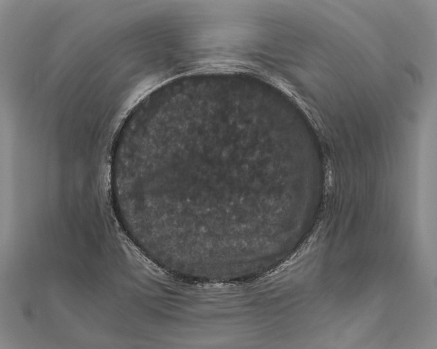 X0000110951459200907101257