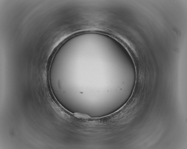 X0000110951460200907101257