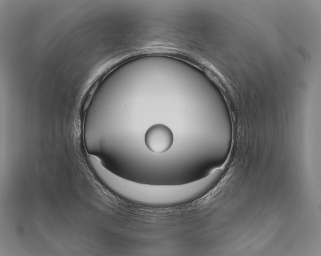 X0000110951461200907101257