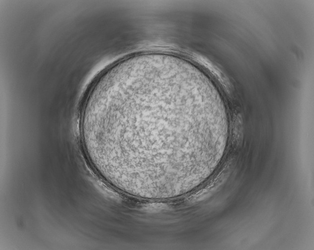 X0000110951462200907101257