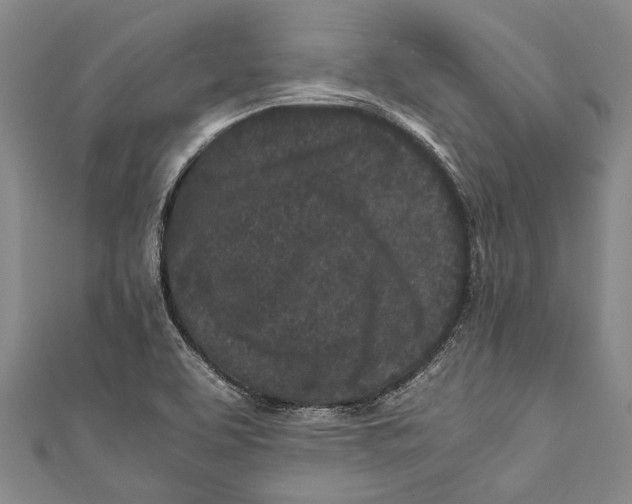 X0000110951463200907101257