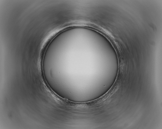 X0000110951464200907101257