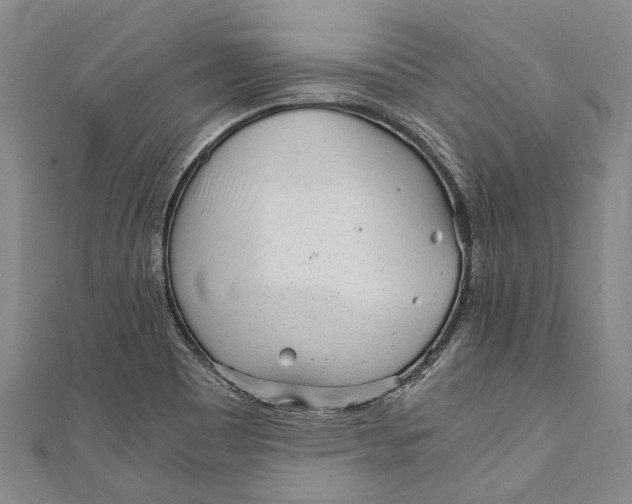 X0000110951465200907101257