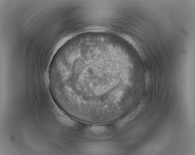 X0000110951466200907101257