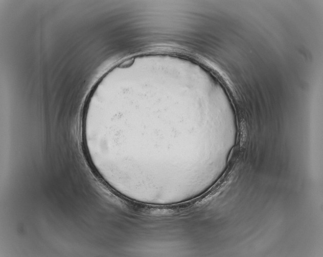 X0000110951467200907101257