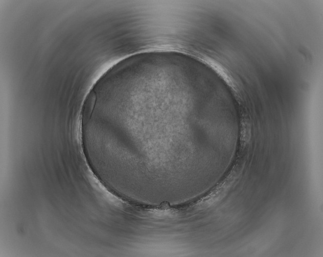 X0000110951468200907101257