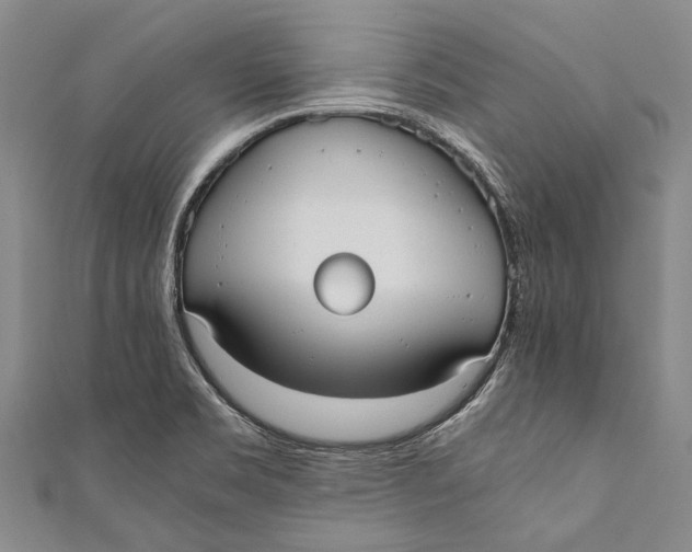 X0000110951469200907101257