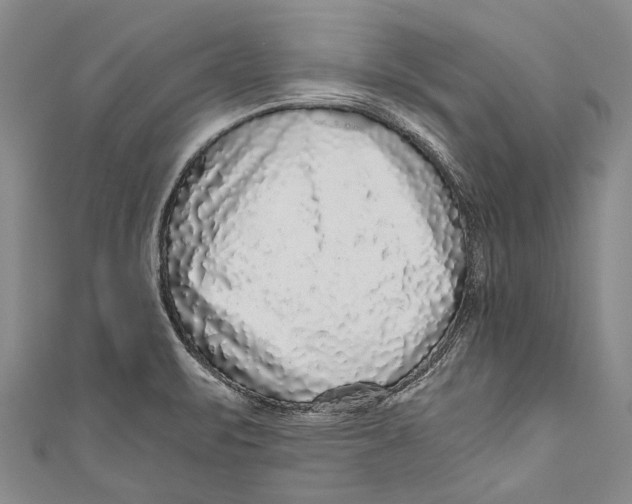 X0000110951471200907101257