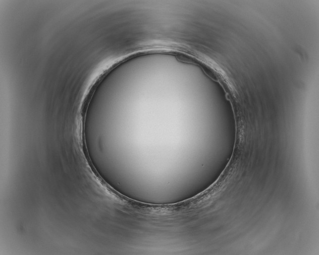 X0000110951472200907101257