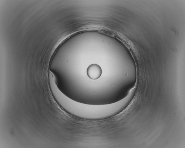 X0000110951473200907101257