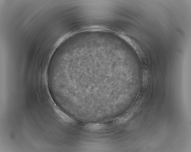 X0000110951474200907101257