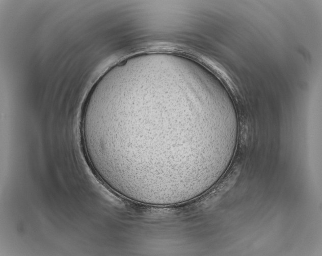 X0000110951475200907101257