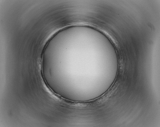 X0000110951476200907101257