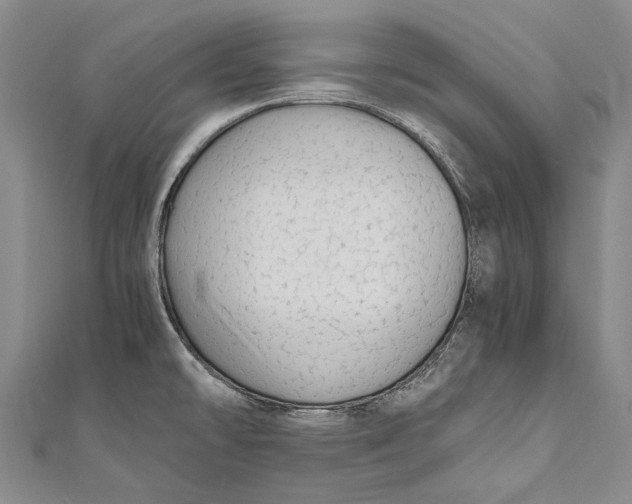 X0000110951478200907101257