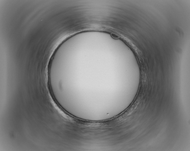 X0000110951479200907101257