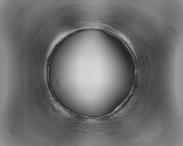 X0000110951480200907101257