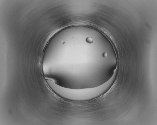 X0000110951481200907101257