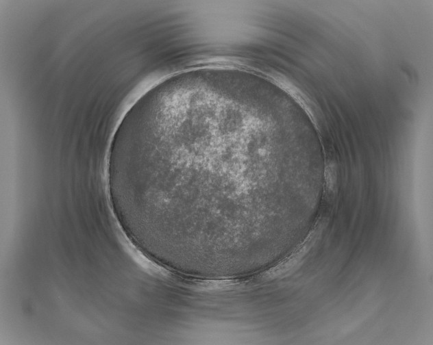 X0000110951482200907101257