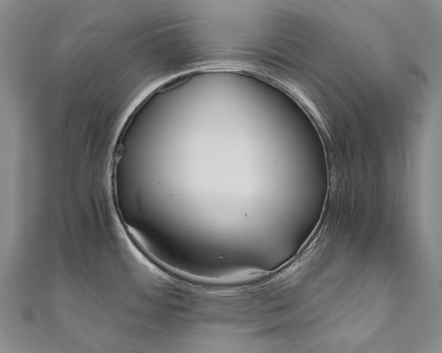 X0000110951484200907101257