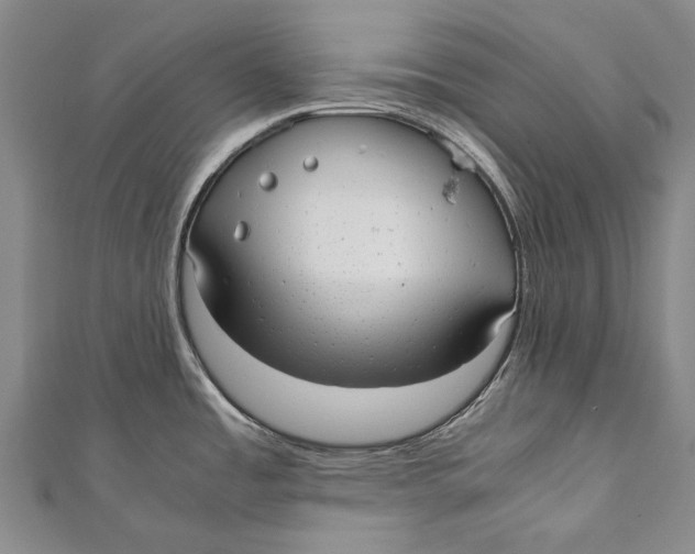 X0000110951485200907101257