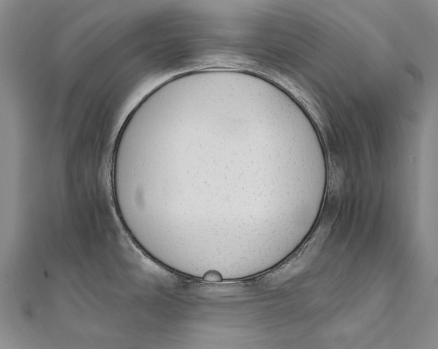 X0000110951486200907101257