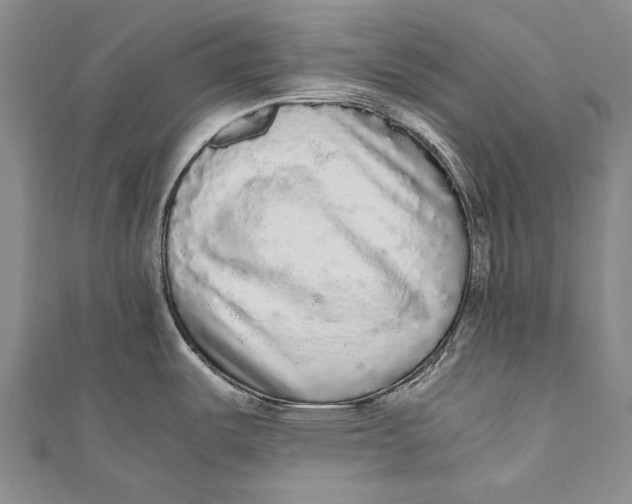 X0000110951487200907101257