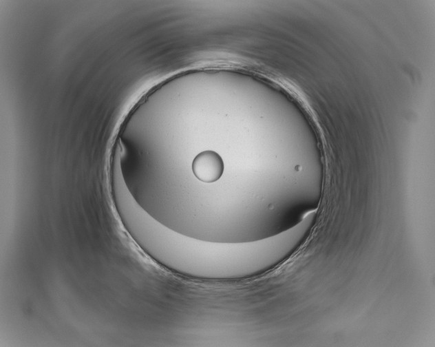 X0000110951488200907101257