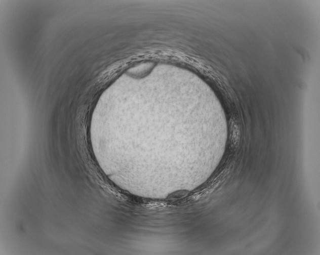 X0000110951489200907101256