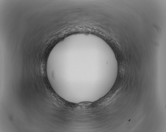 X0000110951490200907101256