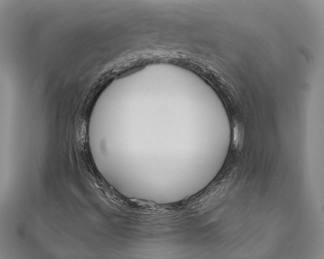 X0000110951492200907101256