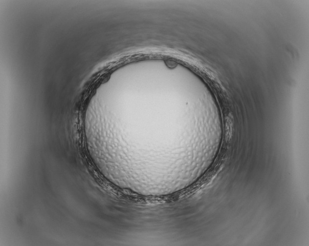 X0000110951494200907101256